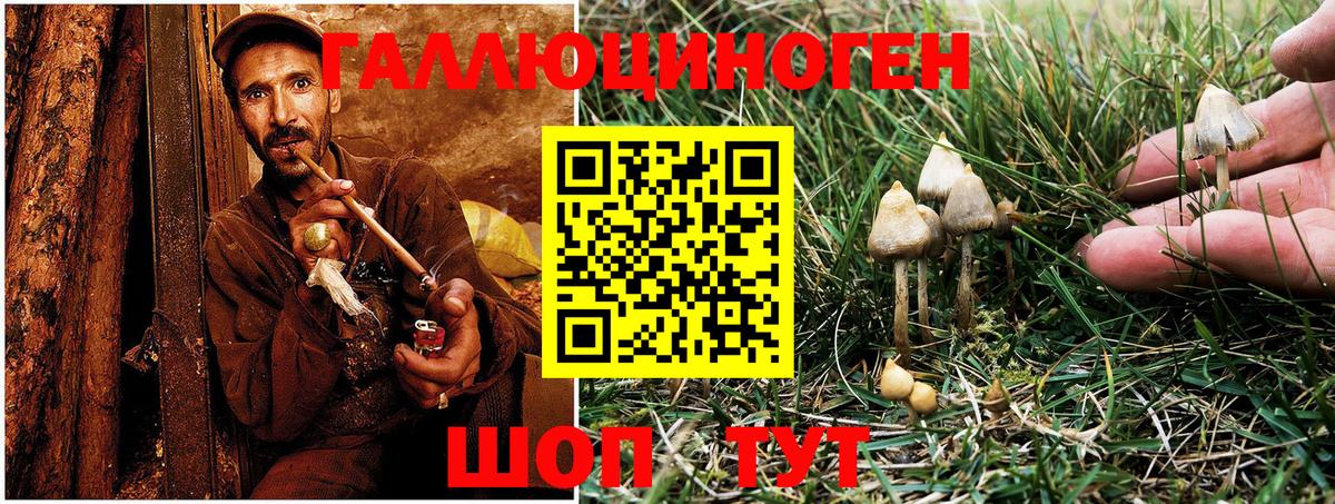 Большой Камень  Галлюциногенные грибы Cubensis  Вход с VPN 