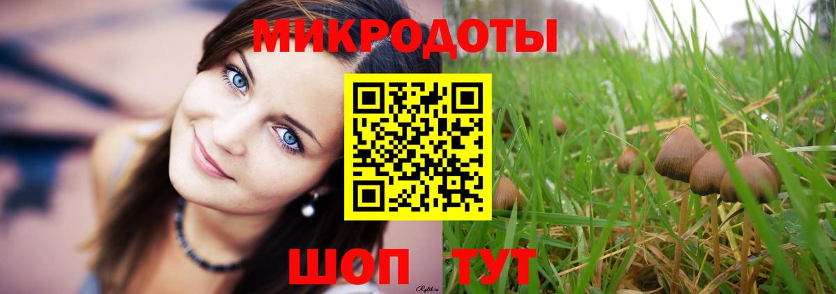 Псилоцибиновые грибы MAGIC MUSHROOMS Большой Камень