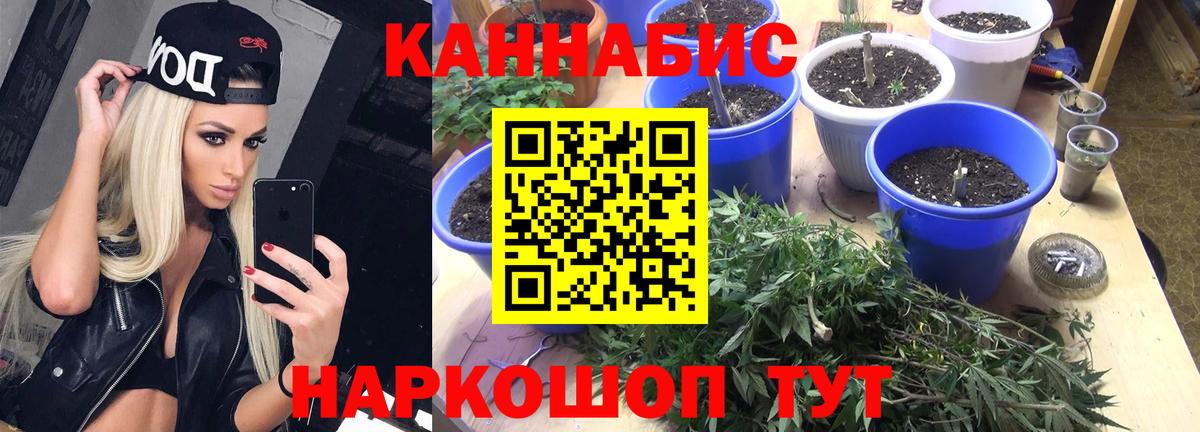 Канабис Ganja  Вход с VPN  Большой Камень  Каннабис план 